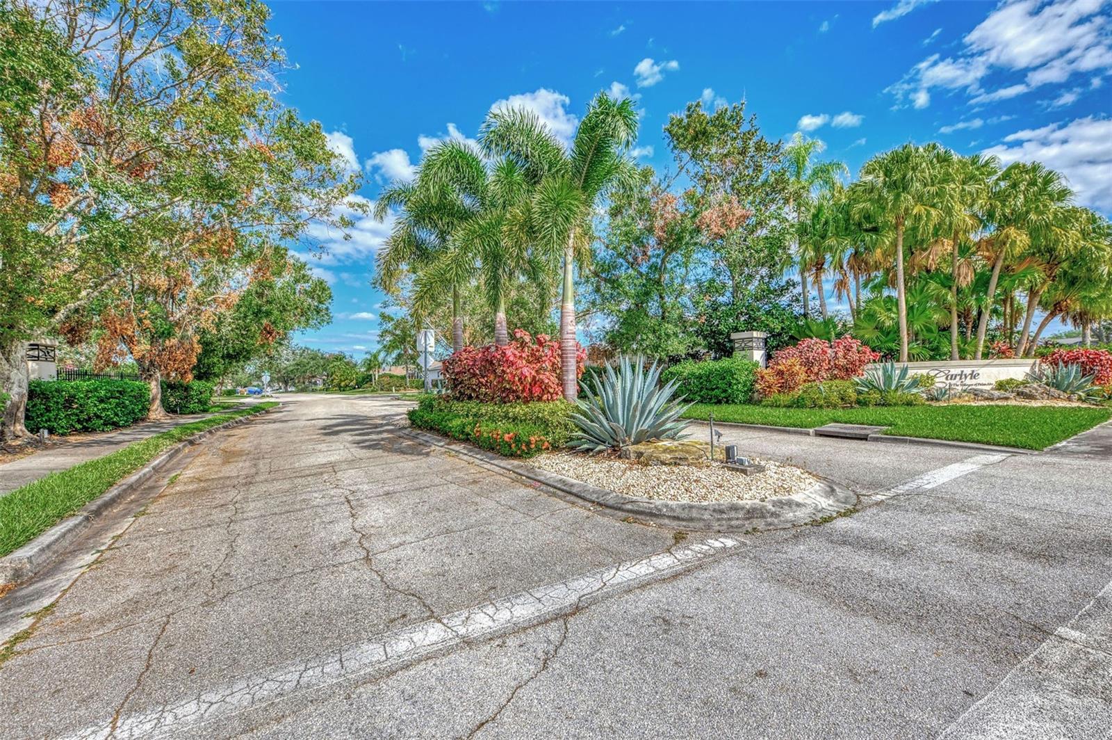 6721 CARLYLE LN — photo 51