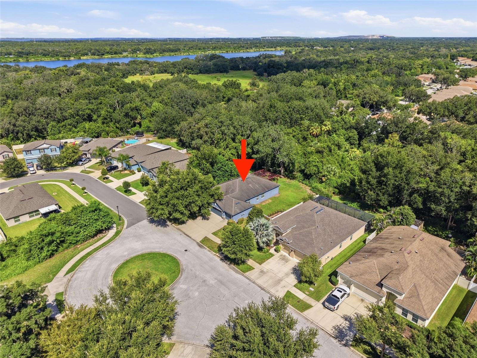 10106 CARAWAY SPICE AVE — photo 36