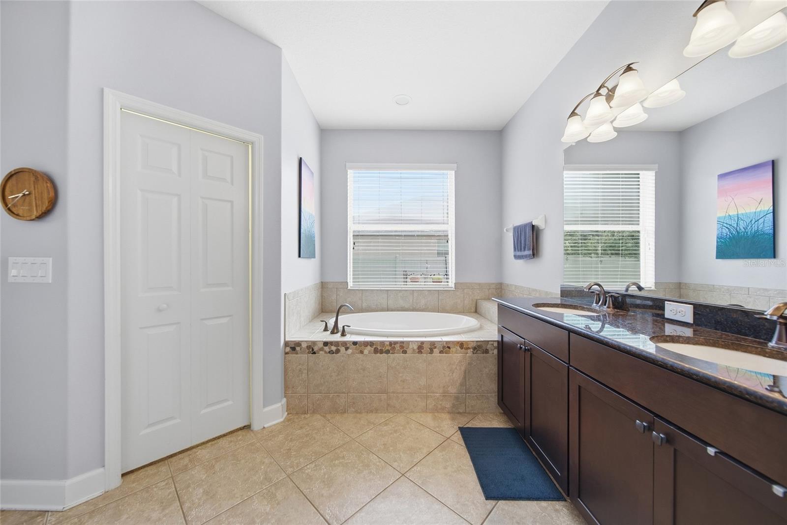 10106 CARAWAY SPICE AVE — photo 19