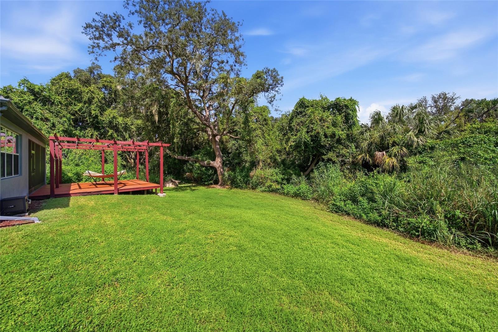 10106 CARAWAY SPICE AVE — photo 30