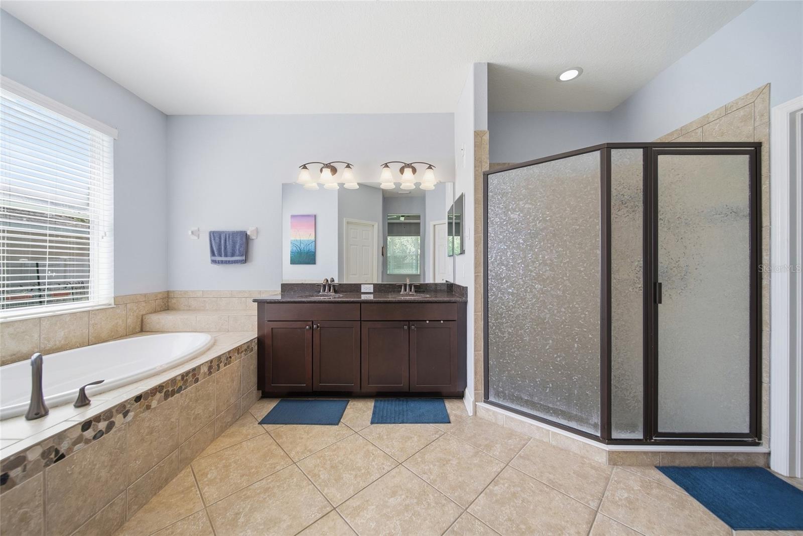 10106 CARAWAY SPICE AVE — photo 18