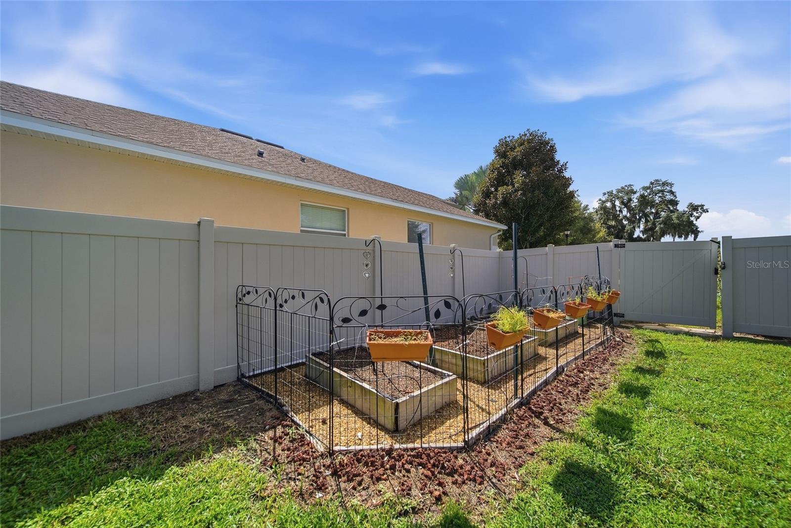 10106 CARAWAY SPICE AVE — photo 29