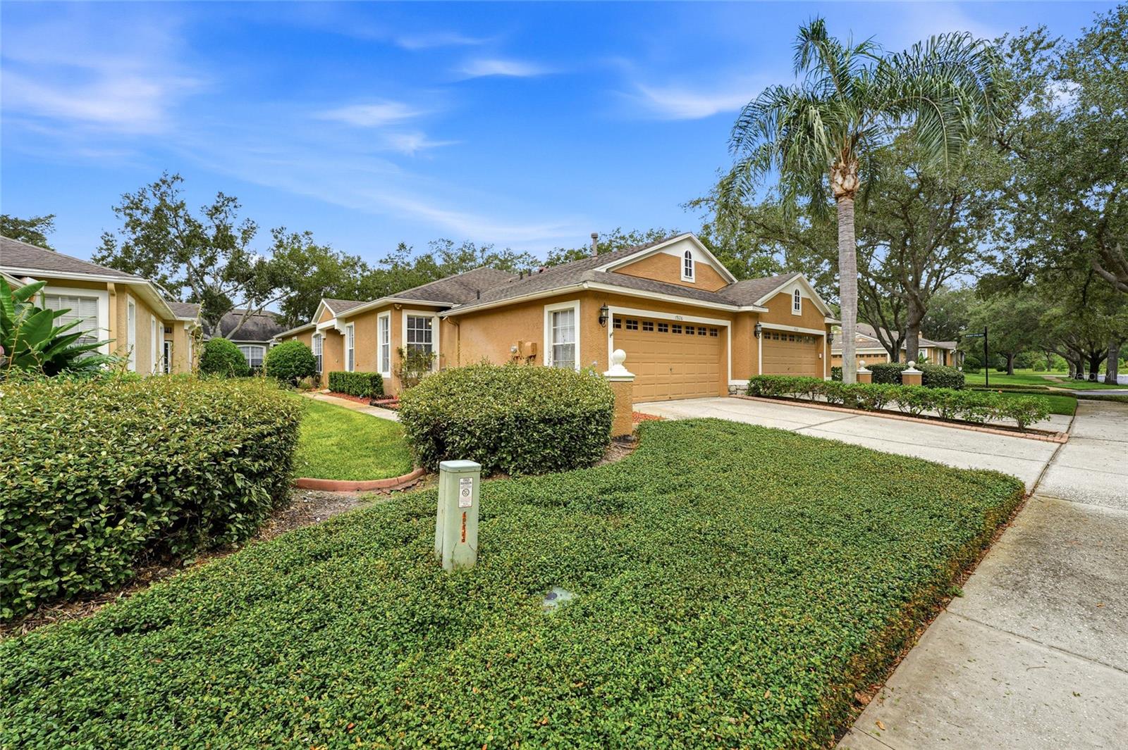 19126 WHITE WING PL — photo 3