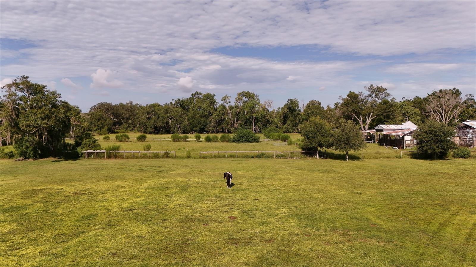 710 MYAKKA RD — photo 79