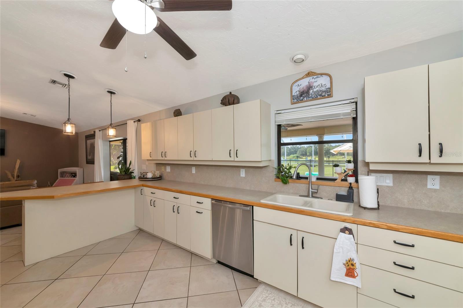 710 MYAKKA RD — photo 13