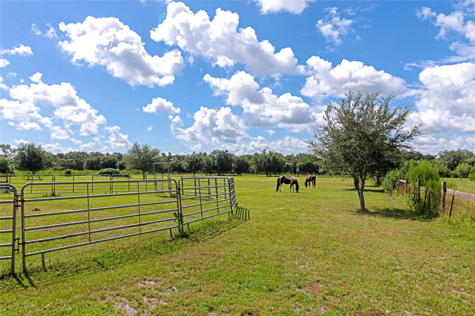 710 MYAKKA RD — photo 87