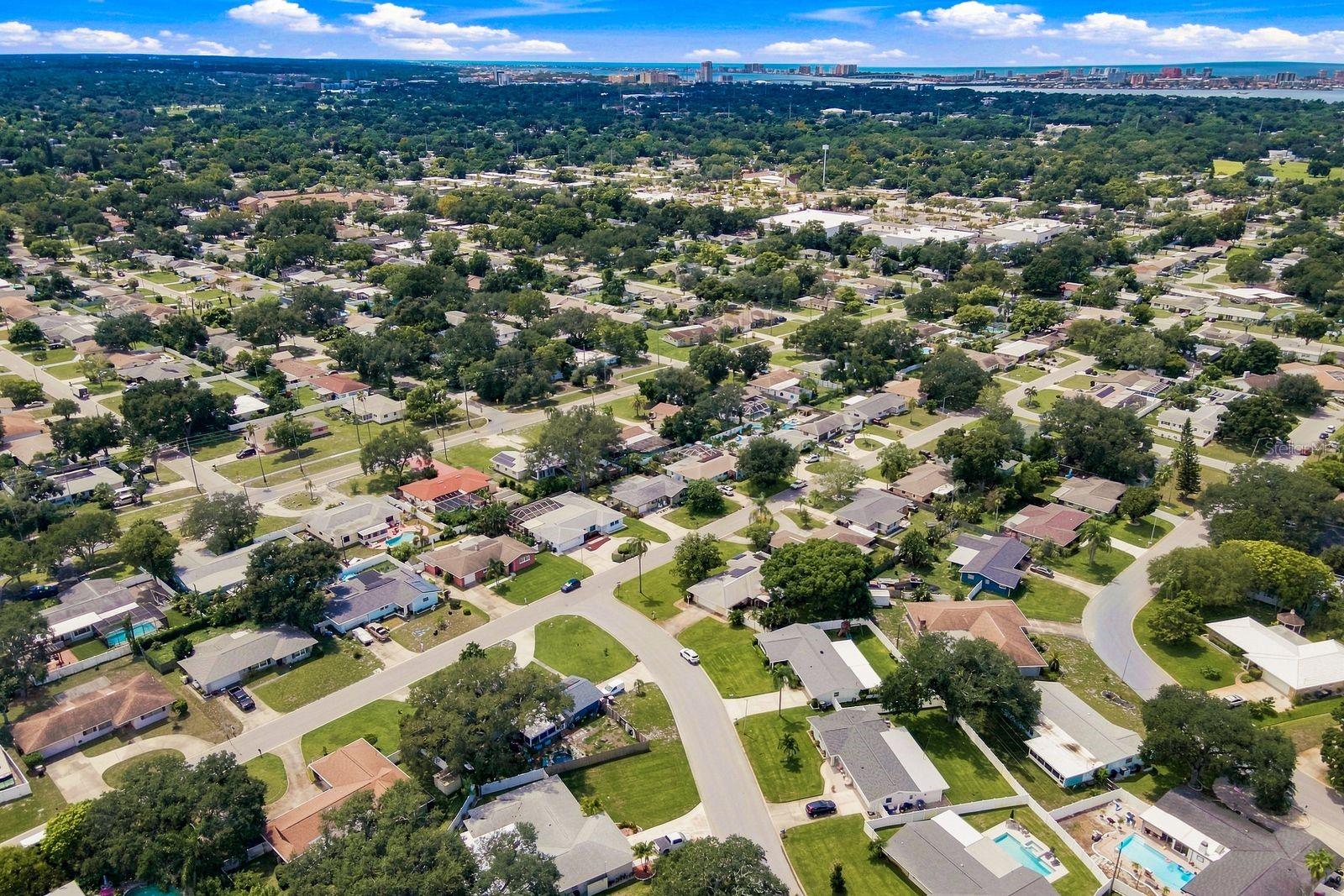 1631 ELIZABETH LN — photo 45