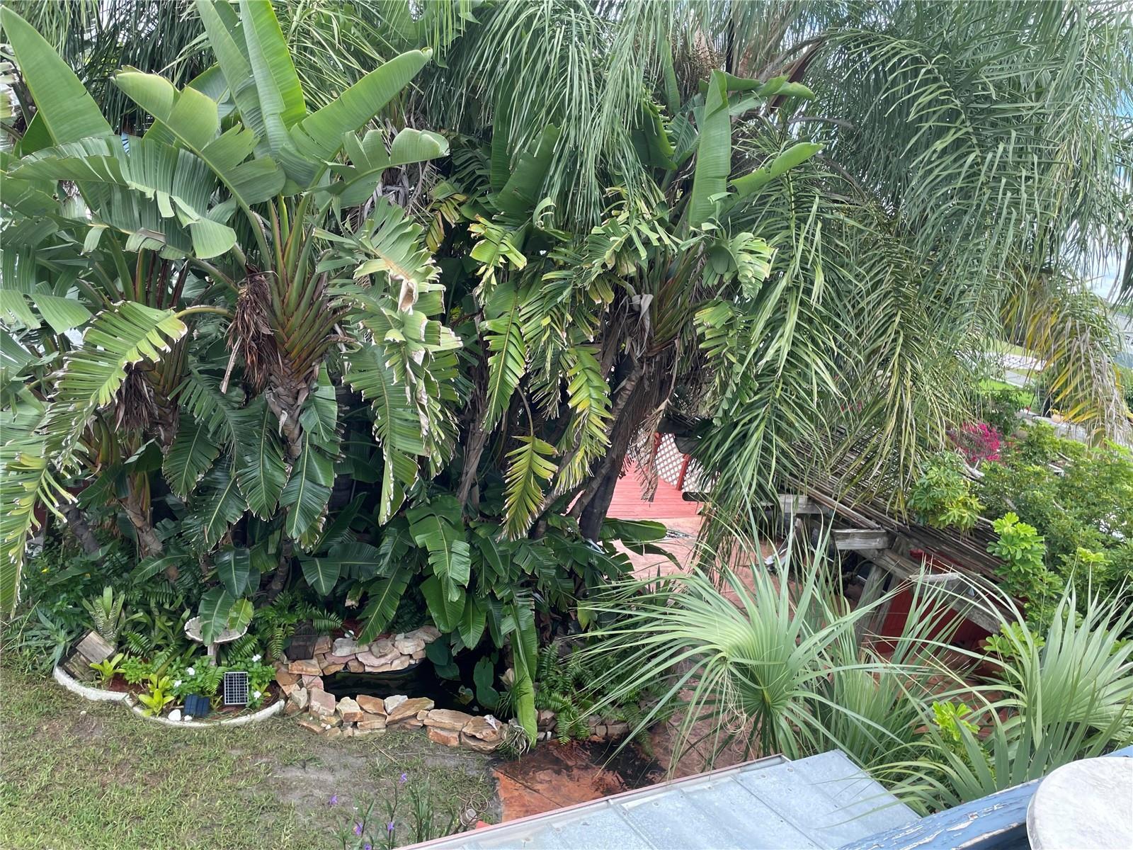 13734 COCO AVE — photo 7