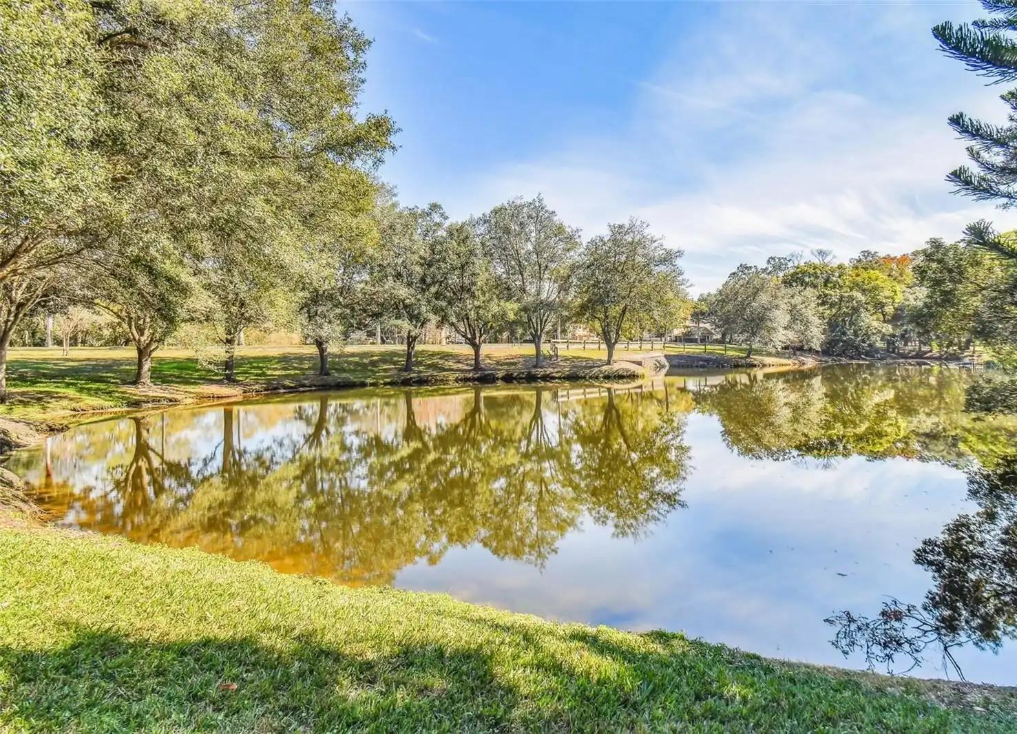 6015 LAKETREE LN #E — photo 20