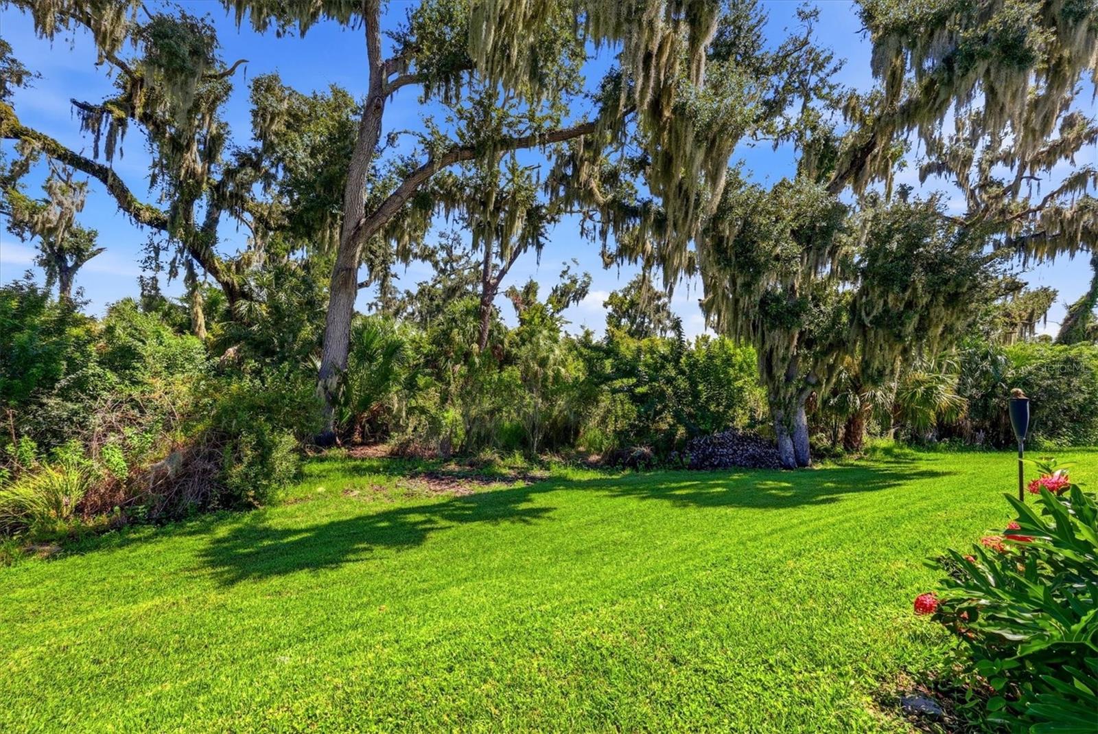 10528 CROOKED CREEK CT — photo 45