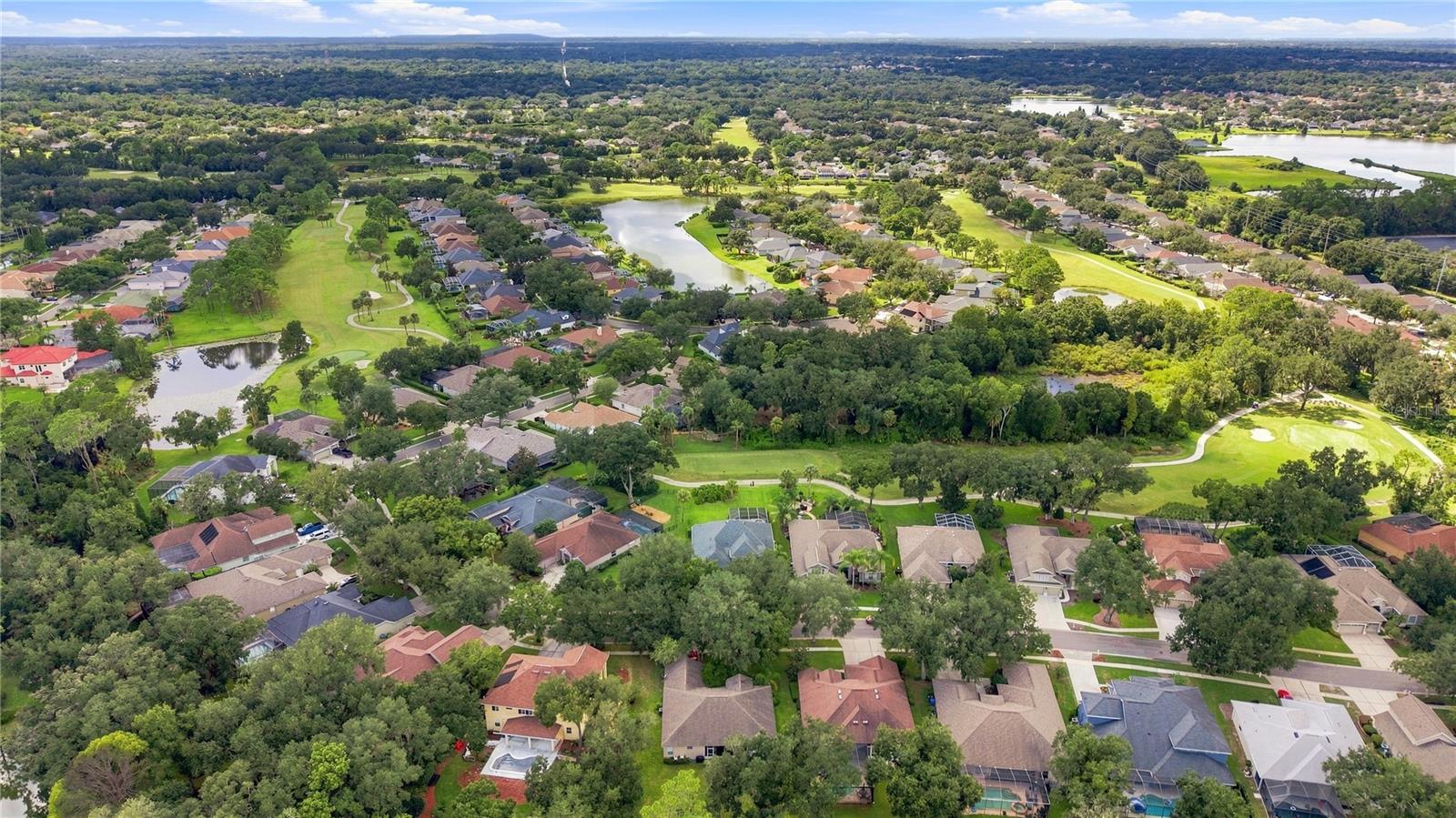 5924 CHERRY OAK DR — photo 47