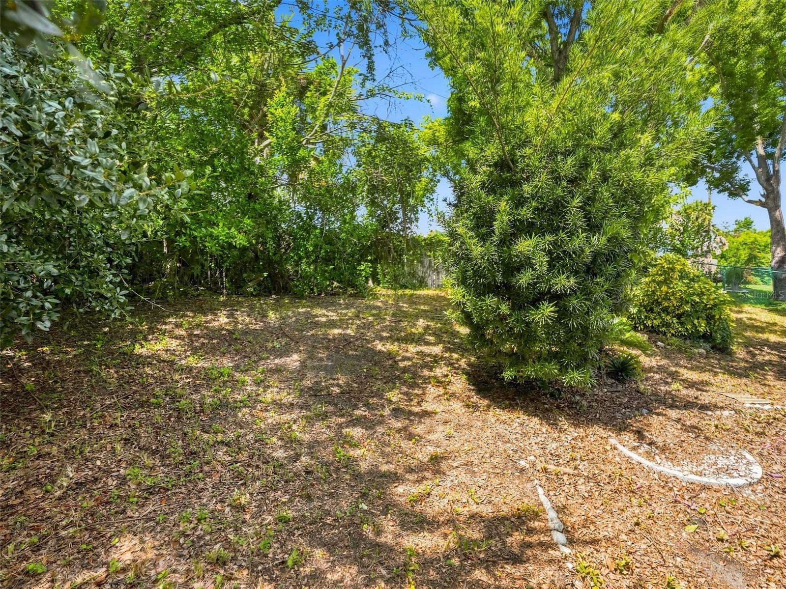 11121 ROLLINGWOOD DR — photo 29