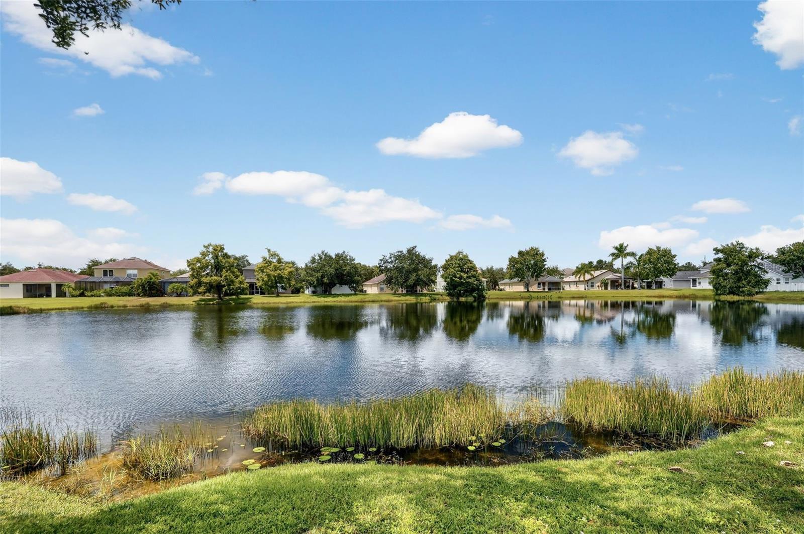 6218 BLACKDRUM CT — photo 49