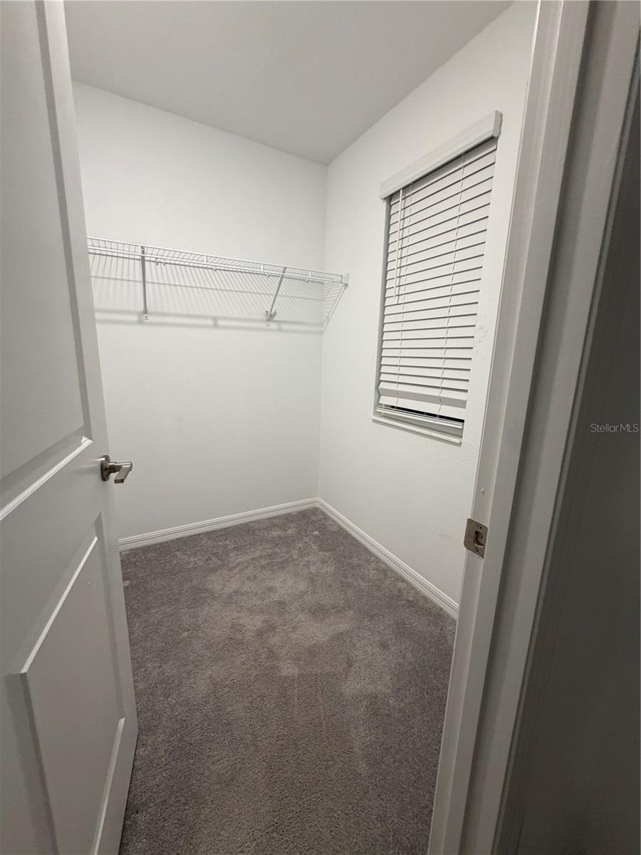 4049 CAPRI COAST DR — photo 22