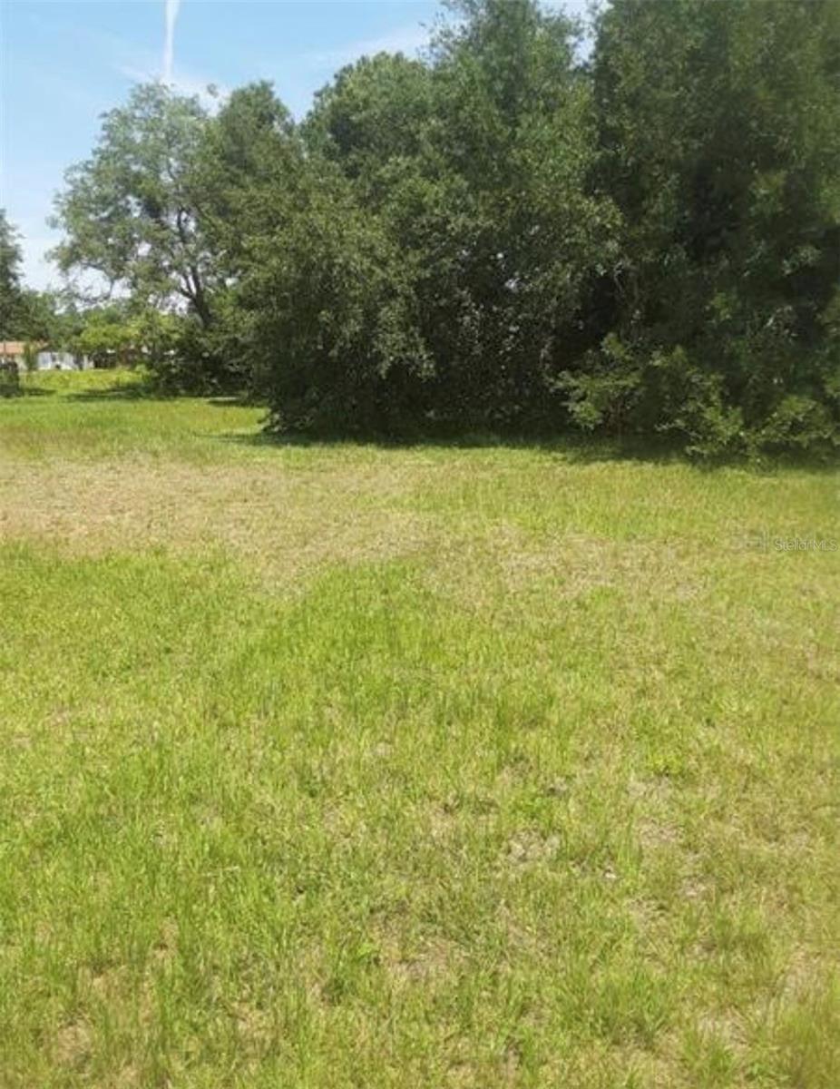 8367 LAFITTE DR — photo 7