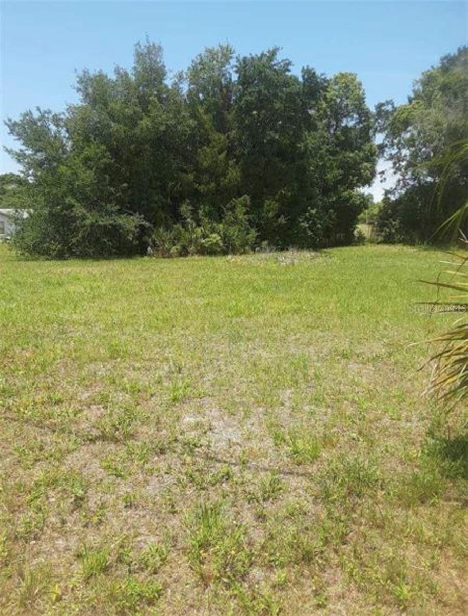 8367 LAFITTE DR — photo 6