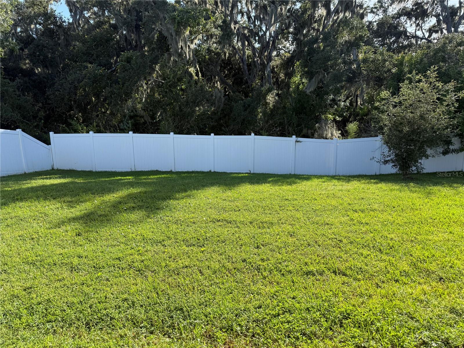 12937 SATIN LILY DR — photo 19