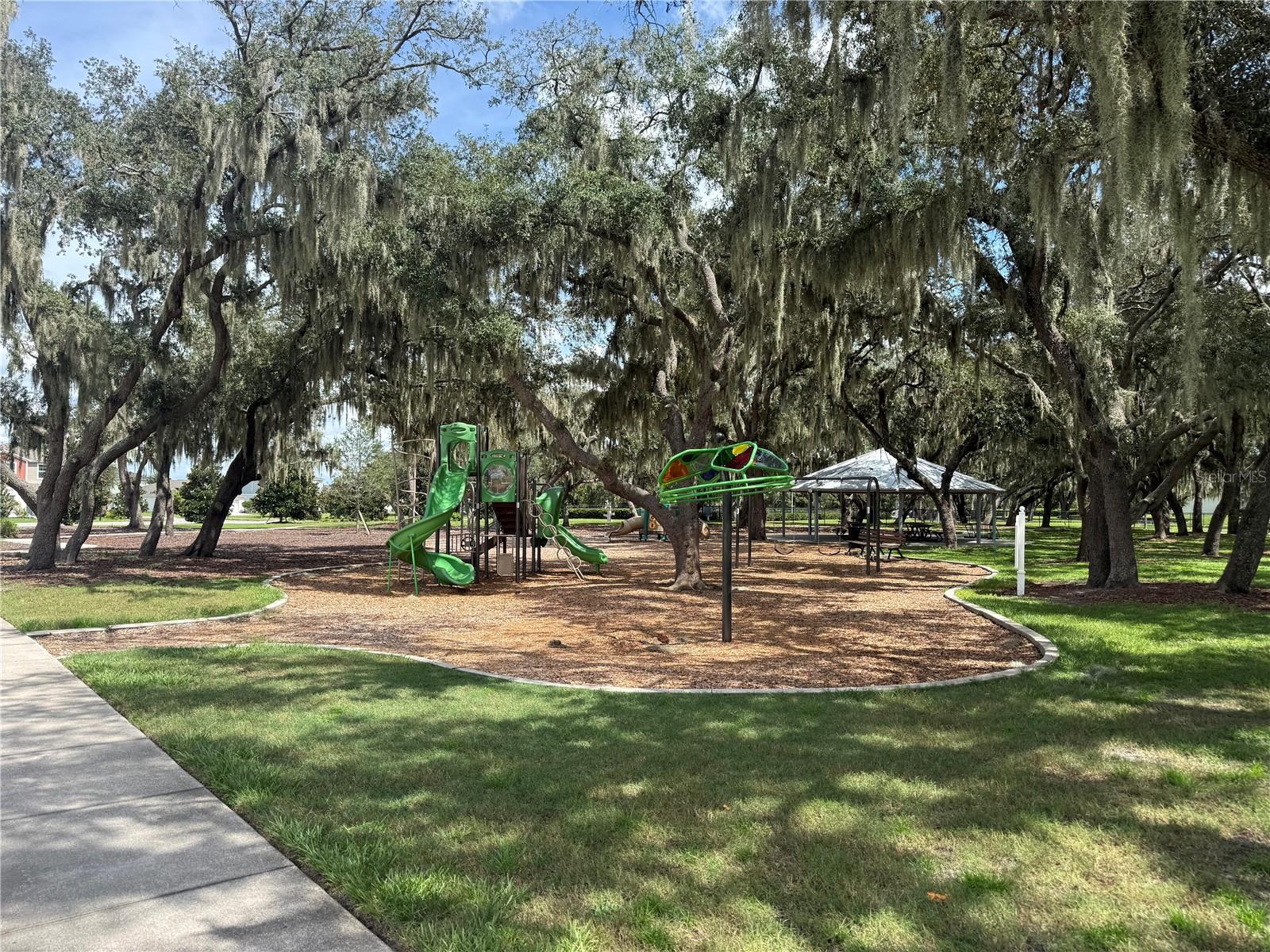 12937 SATIN LILY DR — photo 31
