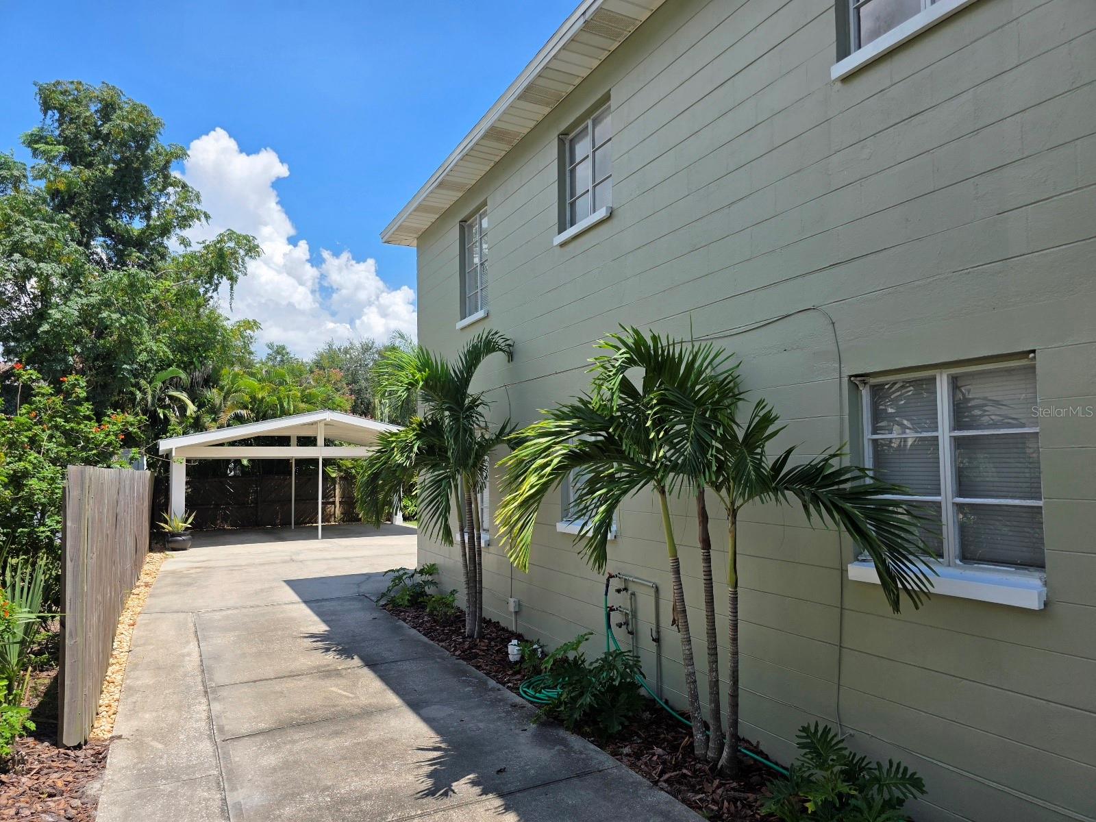 1520 S HABANA AVE — photo 5