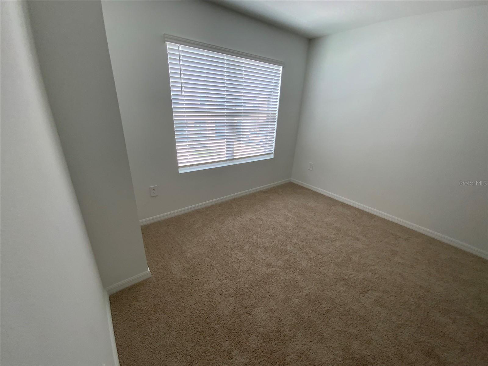 32562 MIDSUMMER NIGHT LANE — photo 12