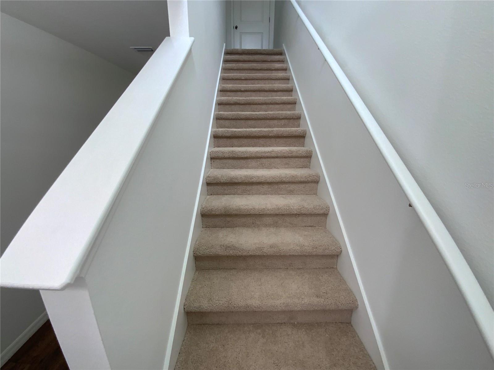 32562 MIDSUMMER NIGHT LANE — photo 10