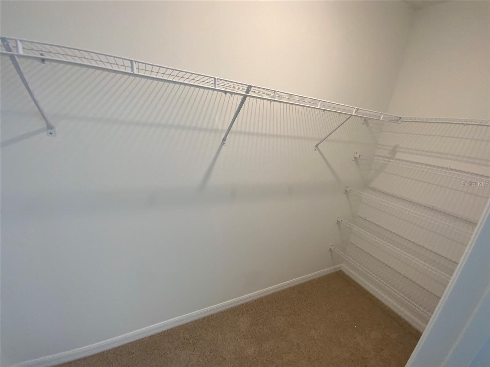 32562 MIDSUMMER NIGHT LANE — photo 11