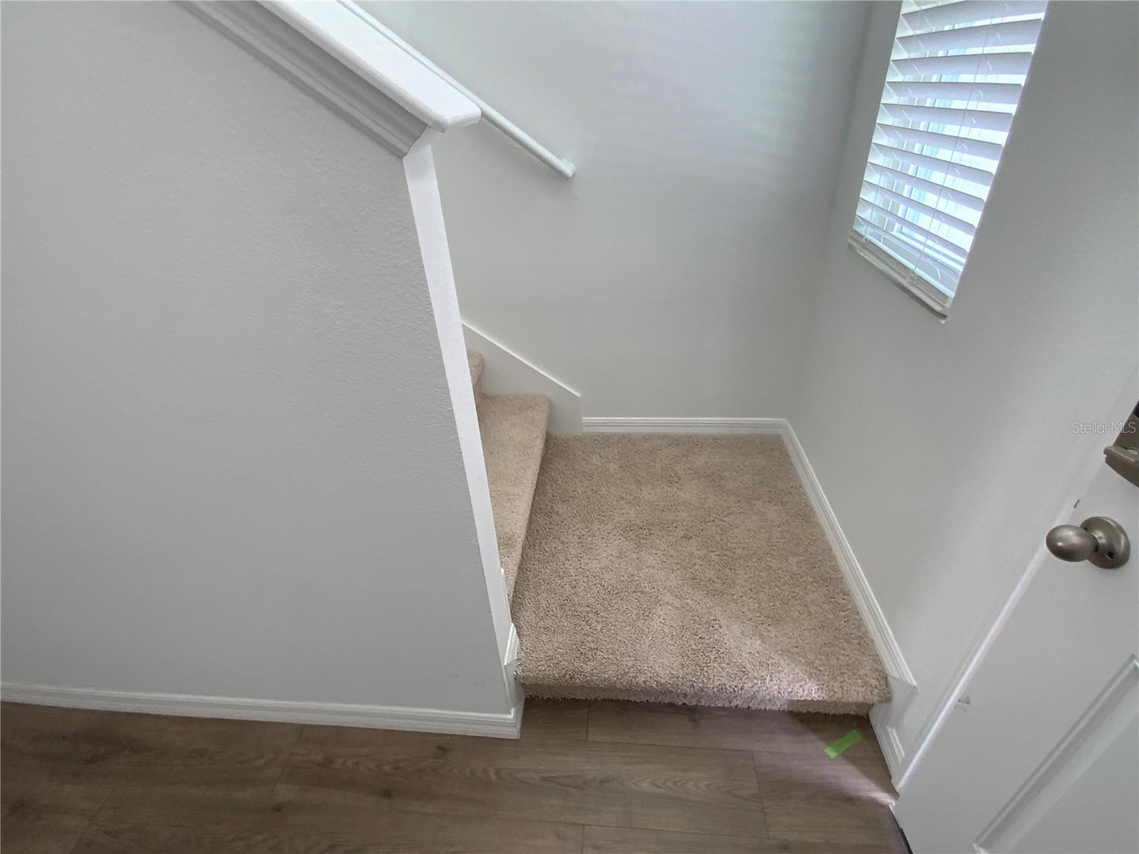 32562 MIDSUMMER NIGHT LANE — photo 9