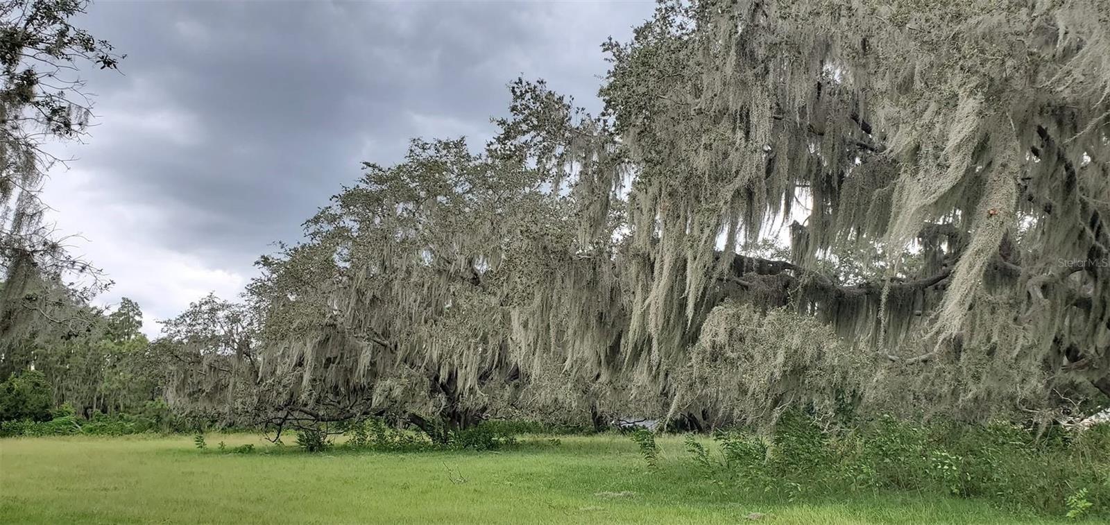 0 ALDERMAN TURNER RD #3 — photo 15