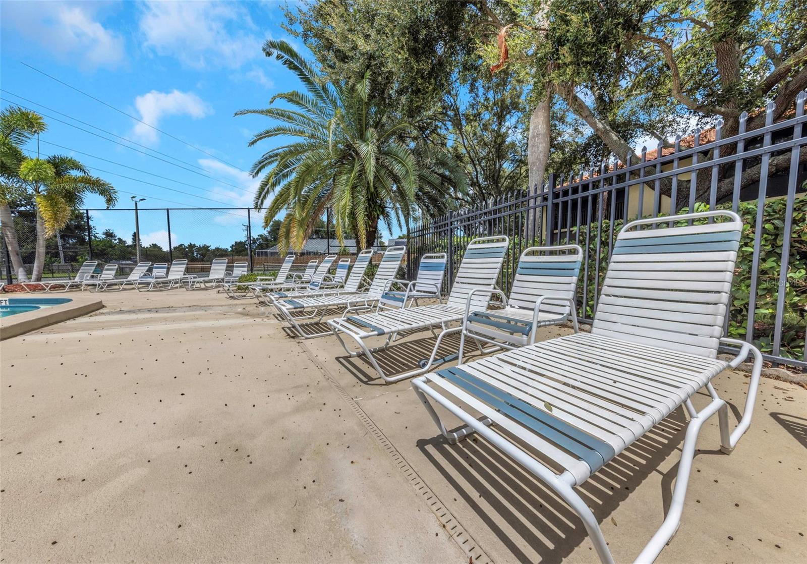 1906 HAMMOCK PINE BLVD #1906 — photo 44