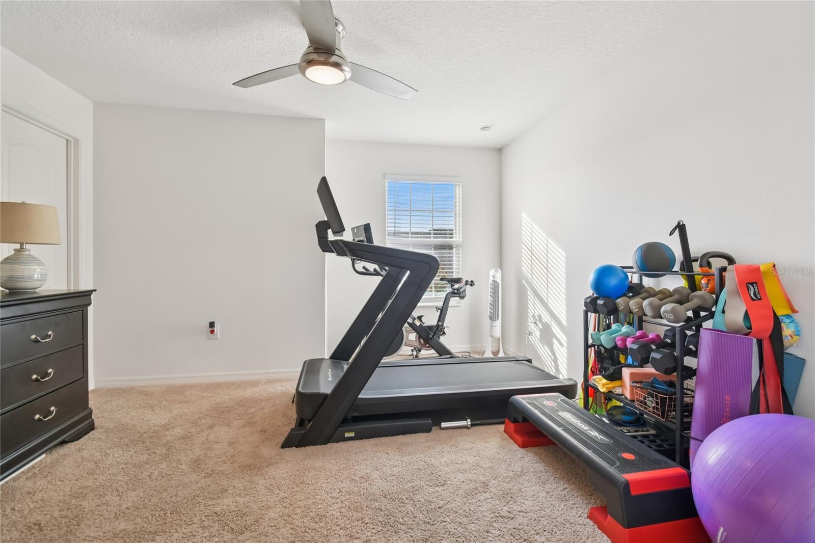 5228 NEW FRIENDSHIP PL — photo 16