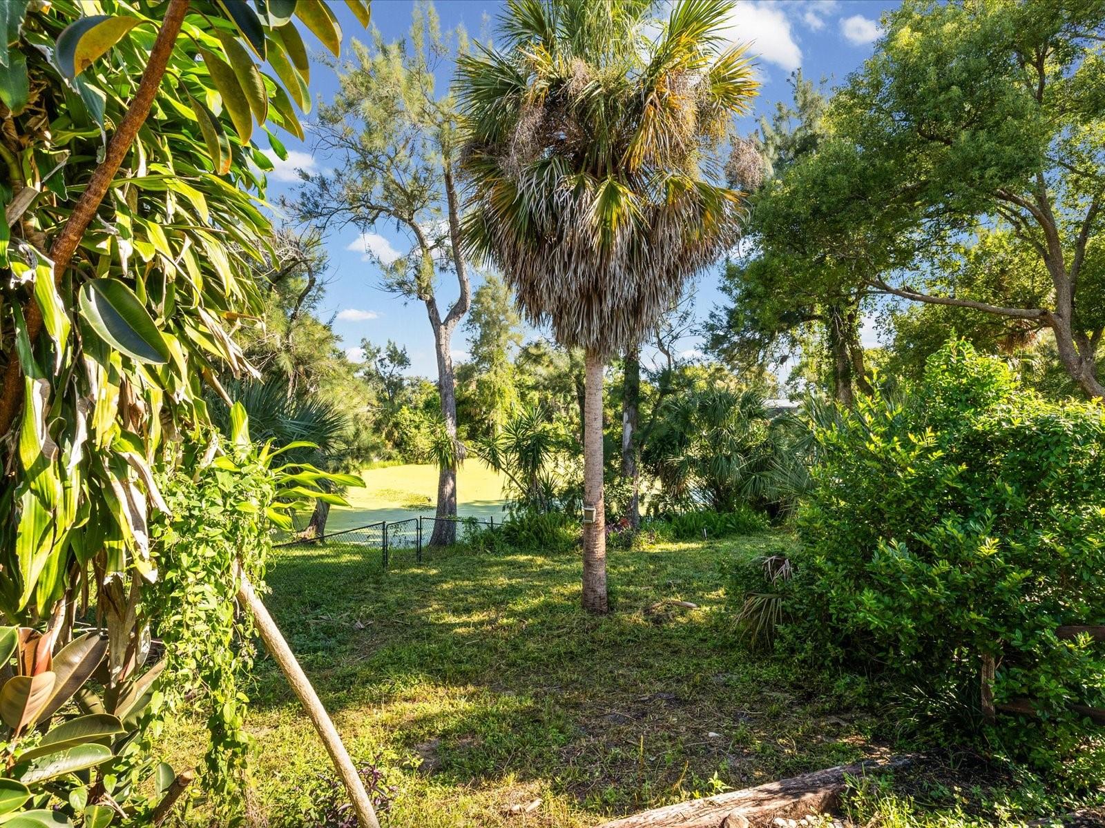 6907 BOTTLE BRUSH DR — photo 39