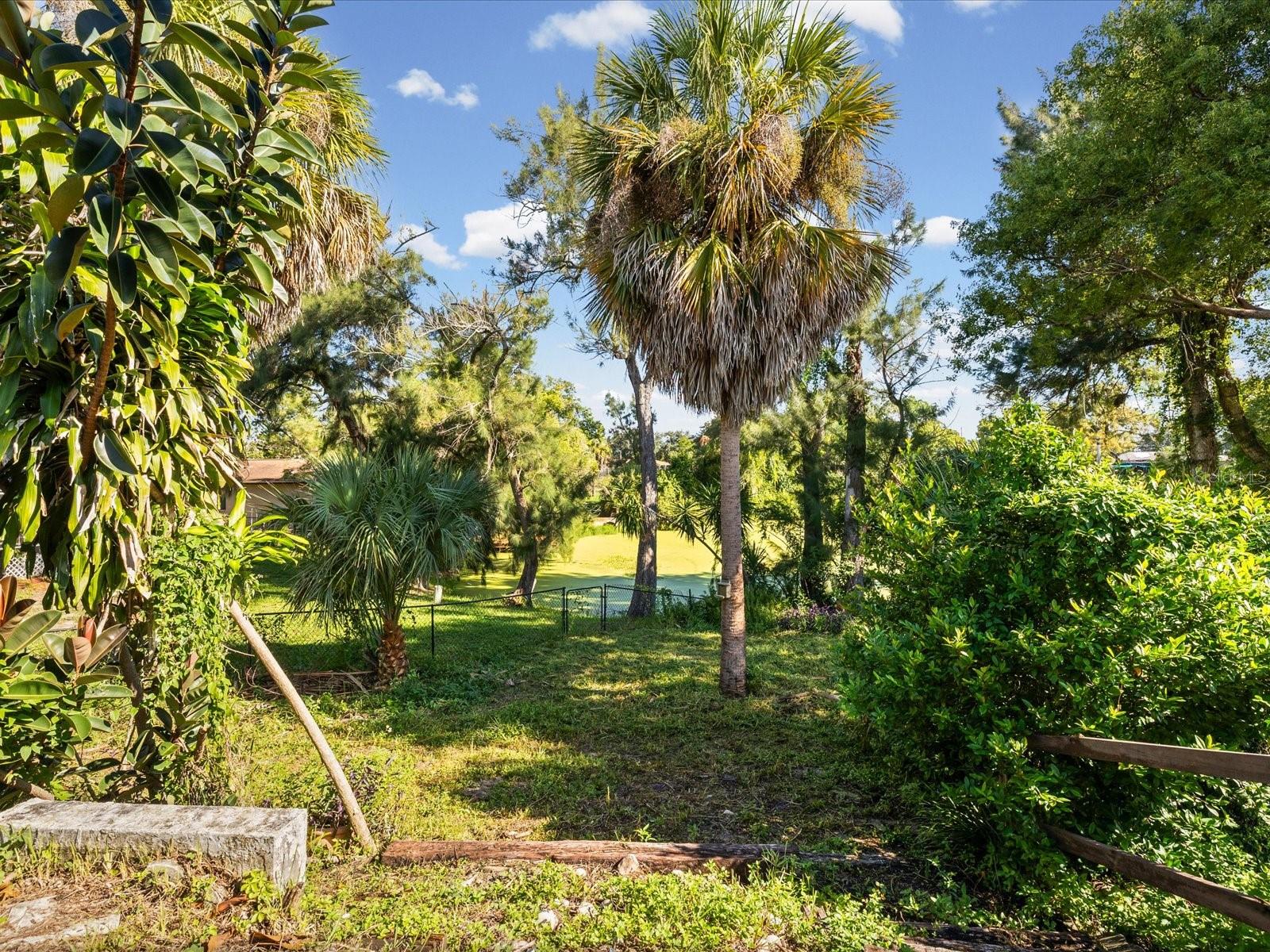 6907 BOTTLE BRUSH DR — photo 38