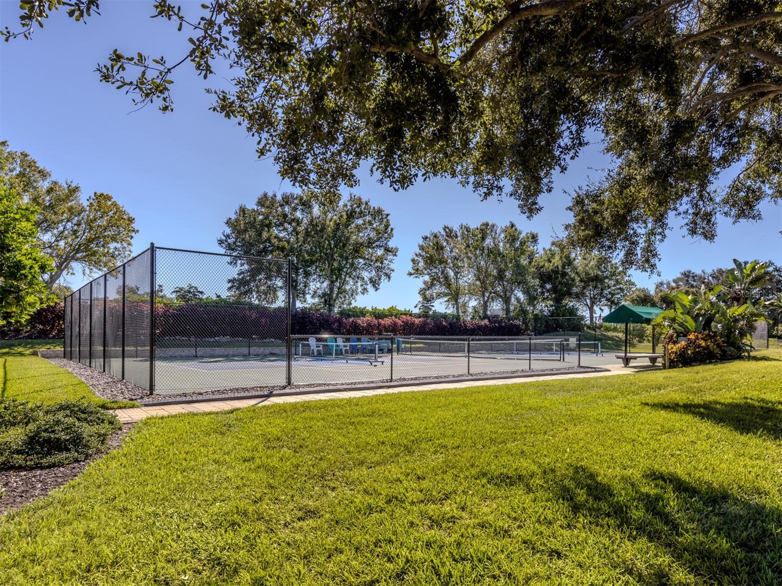 209 RIO TERRA — photo 44