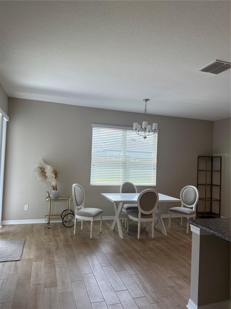 31954 SAPNA CHIME DR — photo 4