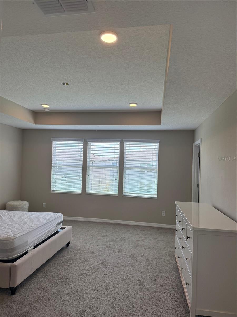 31954 SAPNA CHIME DR — photo 7