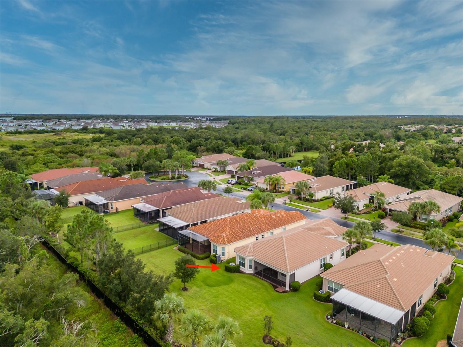 16126 CEDAR KEY DR — photo 55
