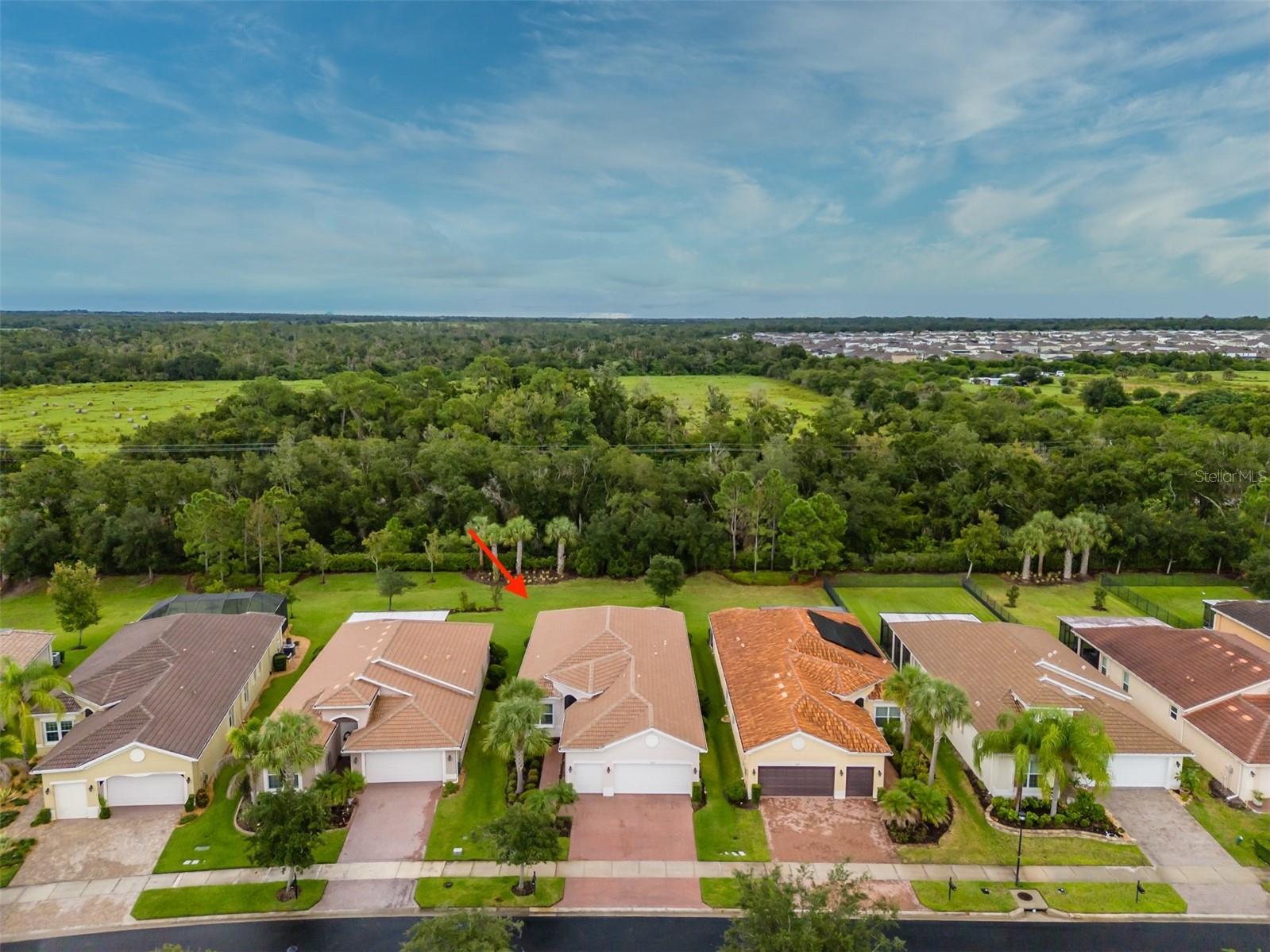 16126 CEDAR KEY DR — photo 58