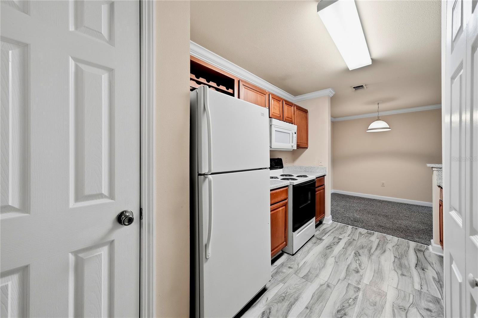 18471 BRIDLE CLUB DR — photo 4