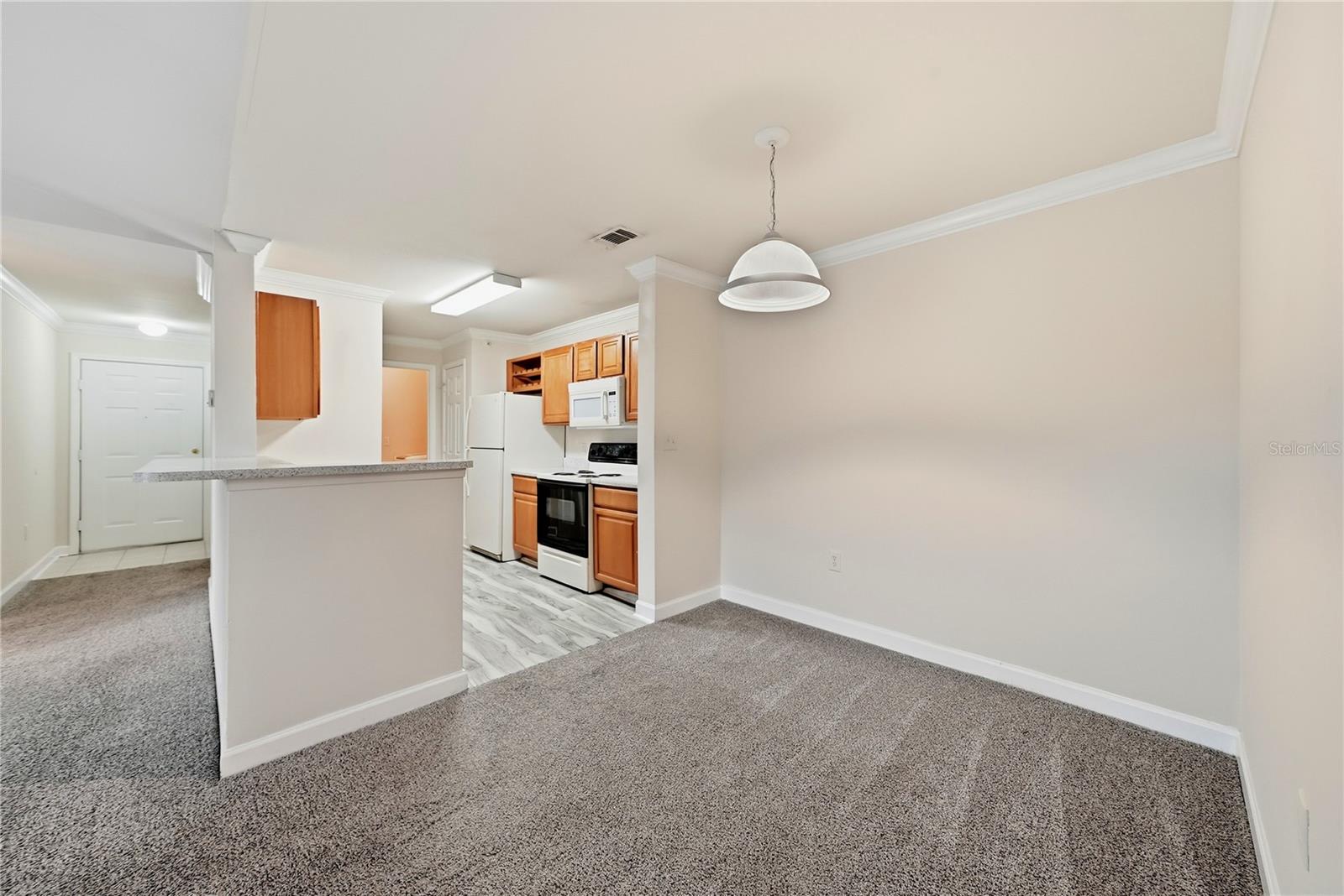 18471 BRIDLE CLUB DR — photo 5