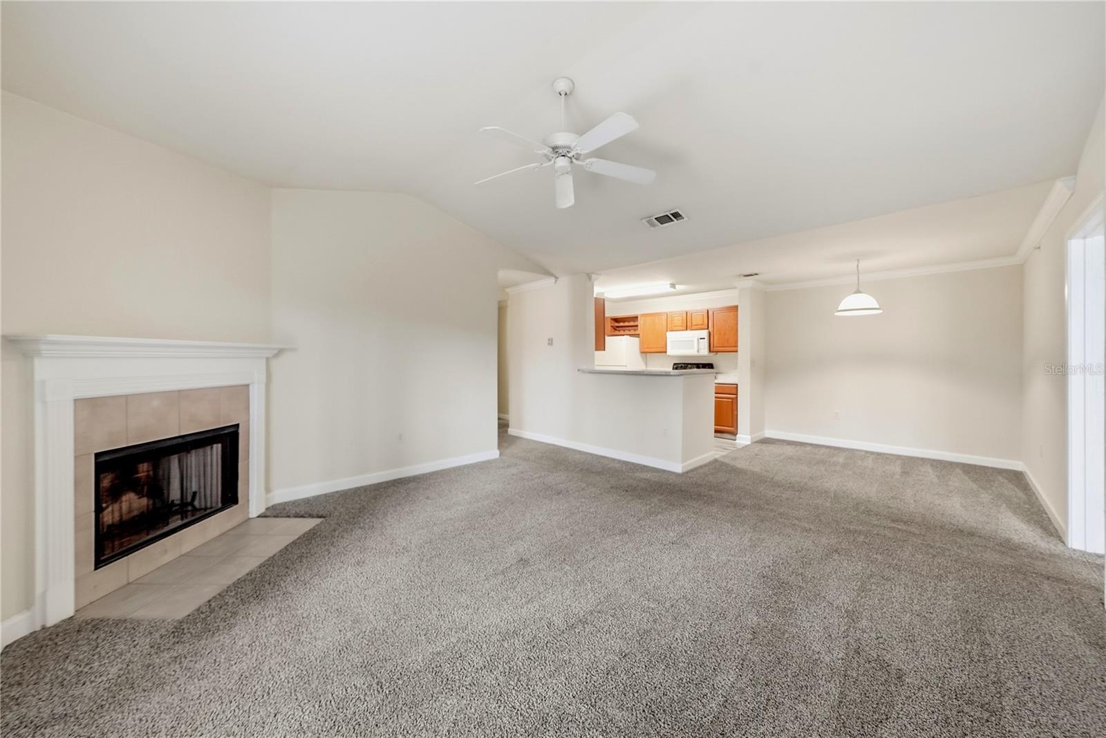 18471 BRIDLE CLUB DR — photo 8