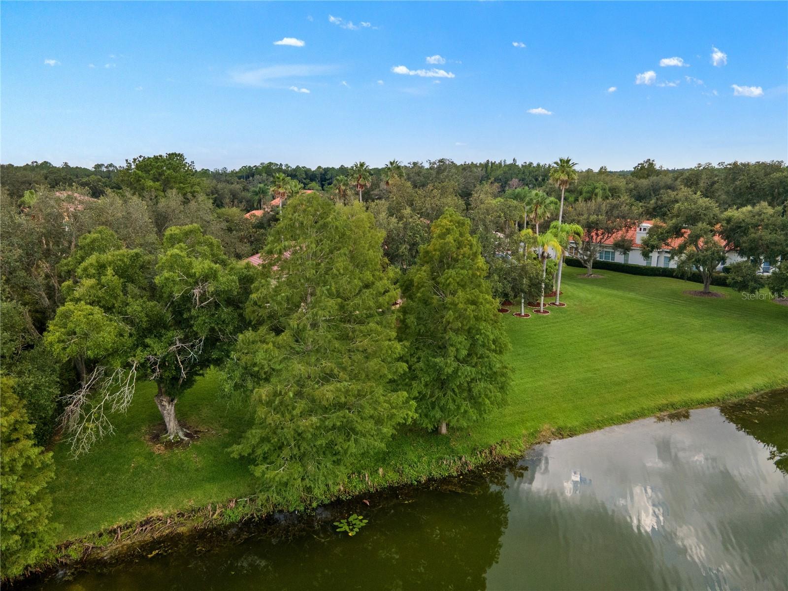 18112 LONGWATER RUN DR — photo 71