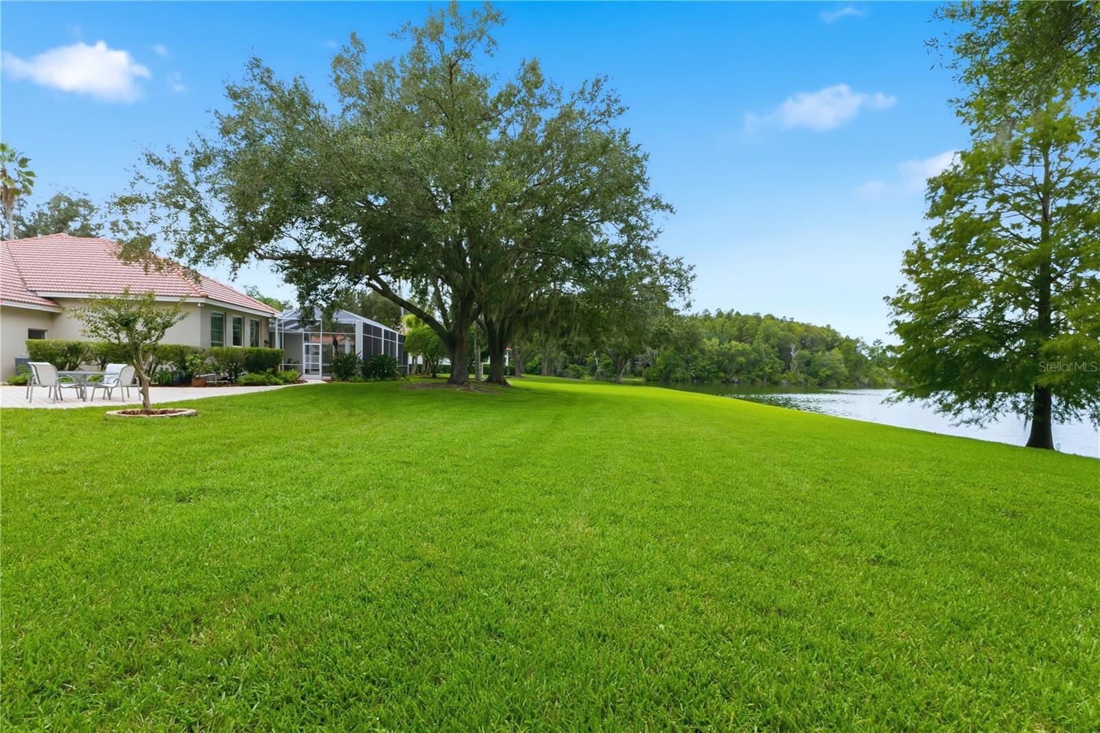 18112 LONGWATER RUN DR — photo 58