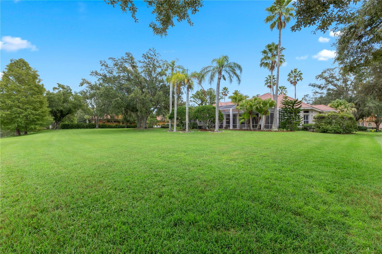 18112 LONGWATER RUN DR — photo 61