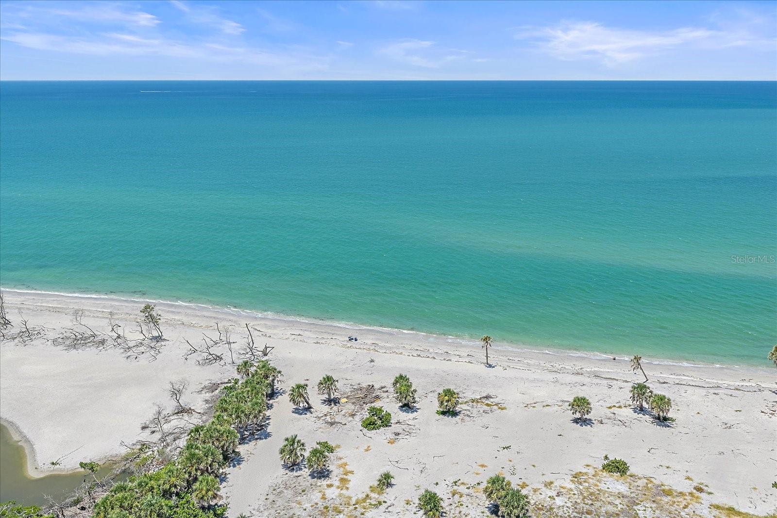 1488 JUPITER RD — photo 33