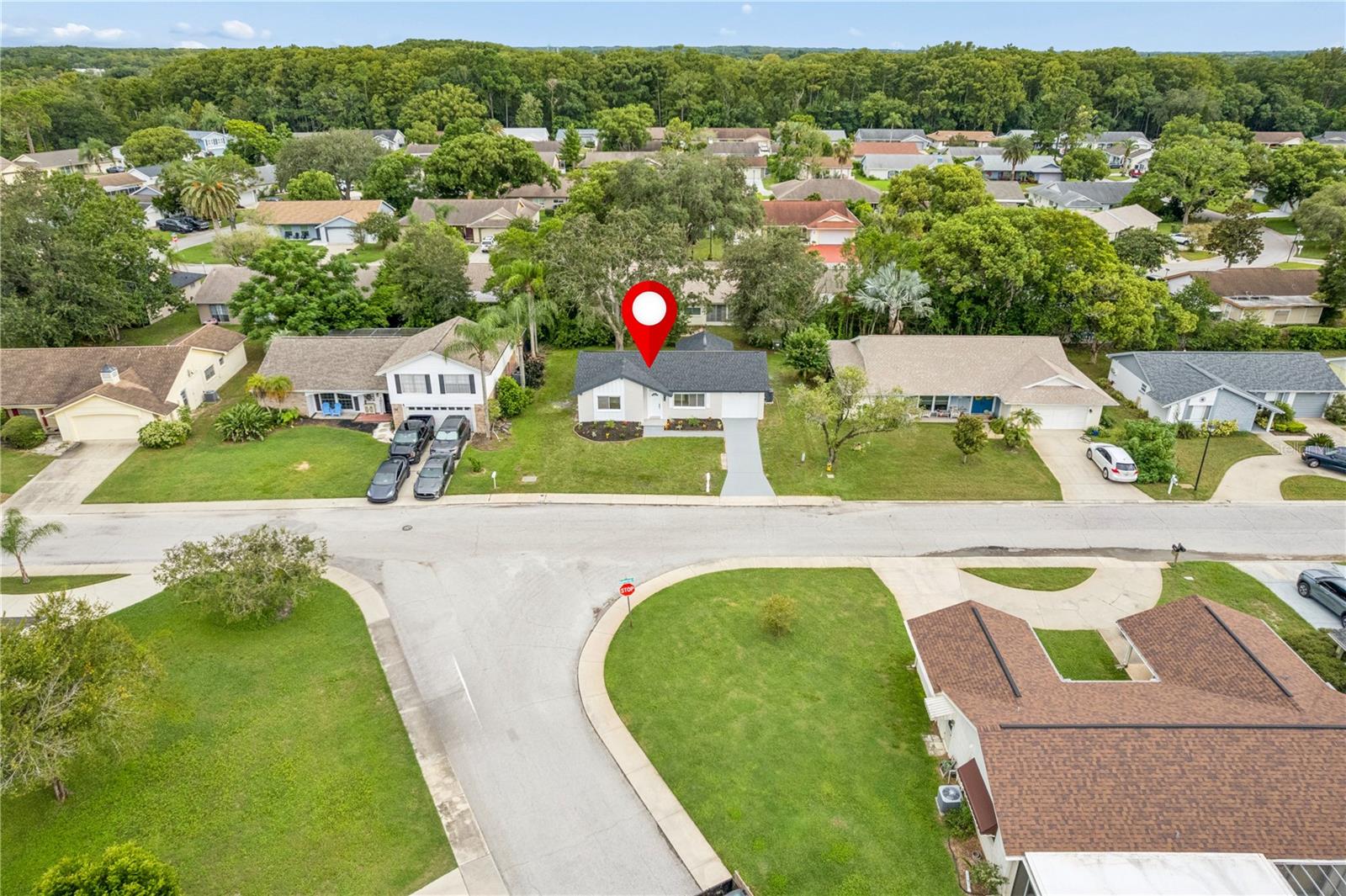 12220 MEADOWBROOK LN — photo 38