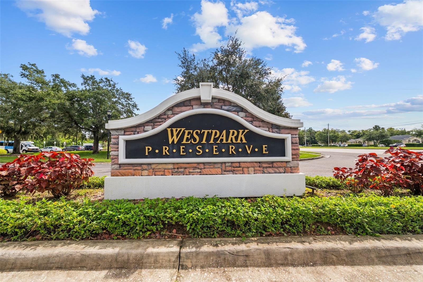 10405 WESTPARK PRESERVE BLVD — photo 47
