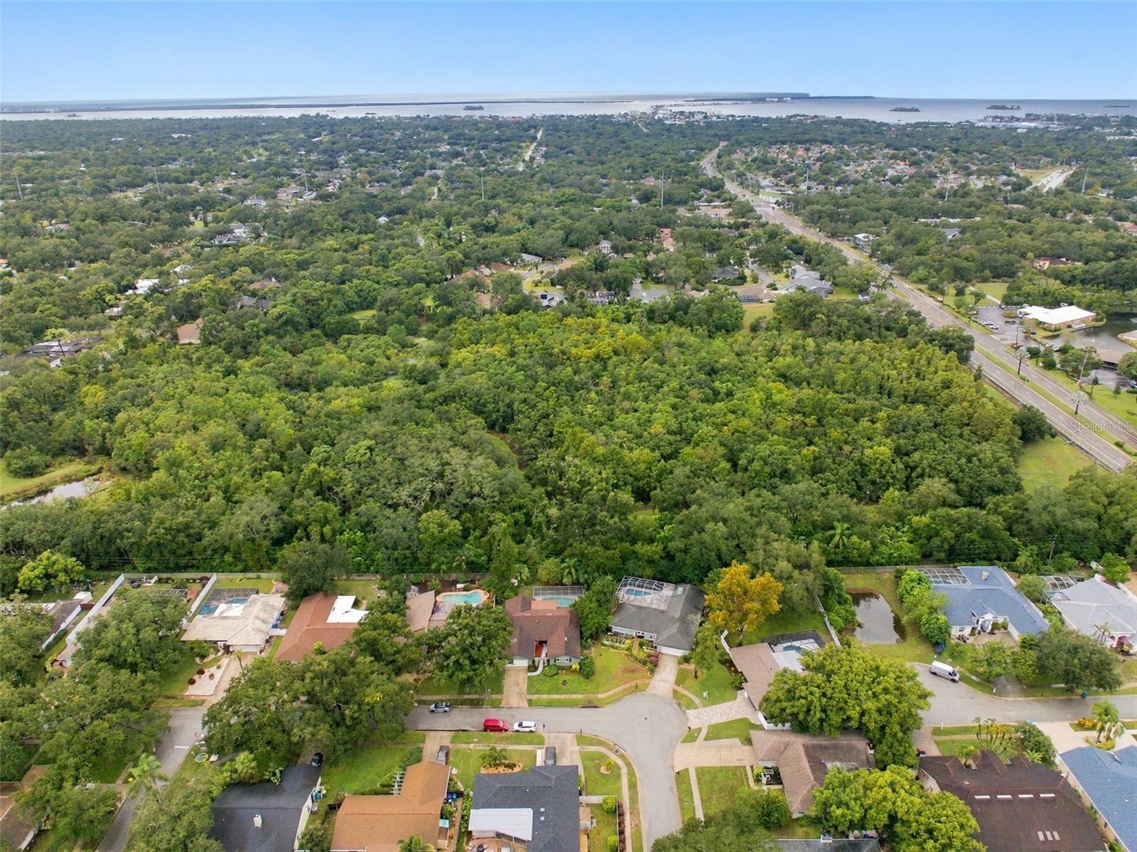 1297 PEACH TREE DR — photo 43