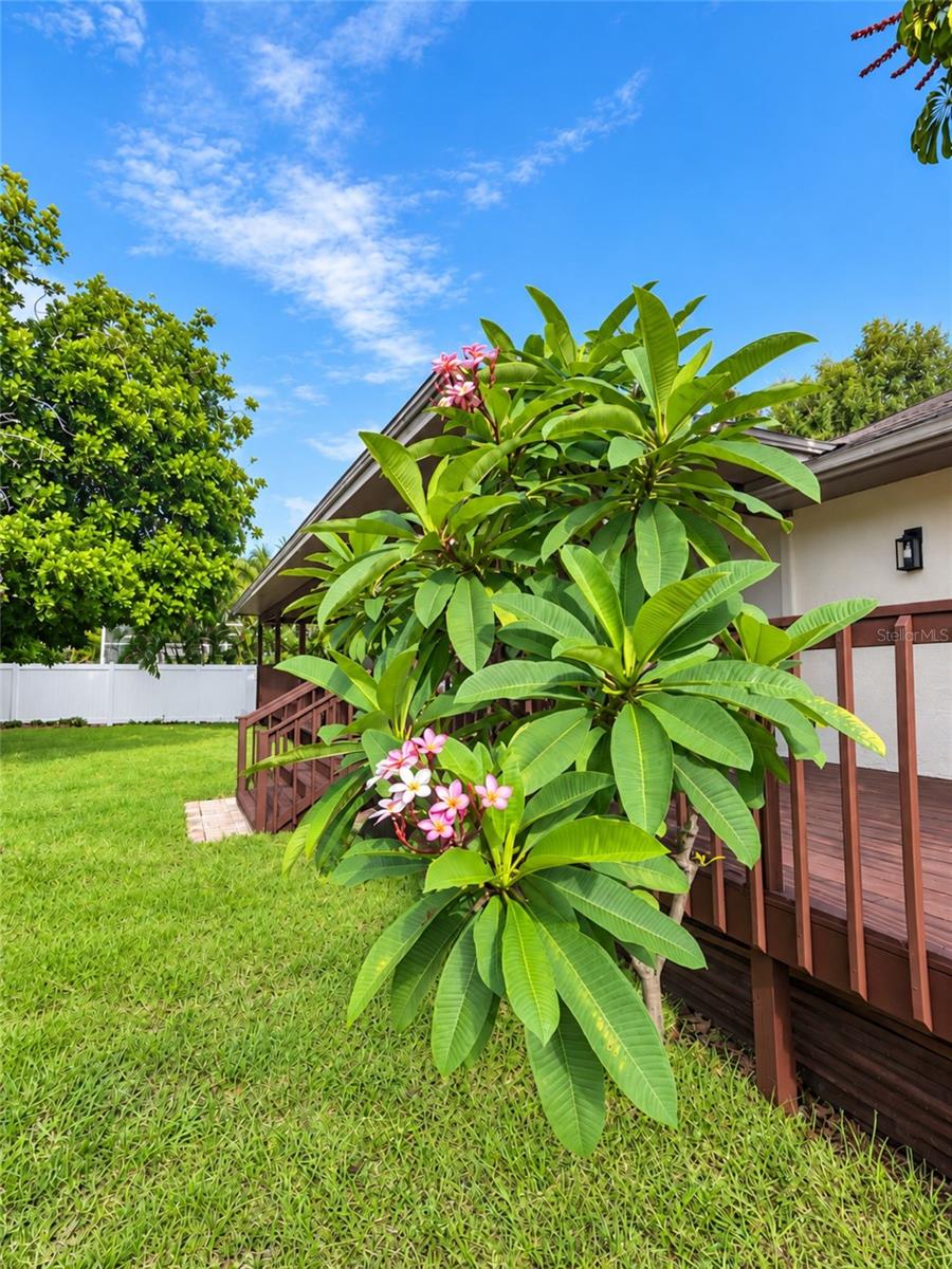 630 PINTA DR — photo 46