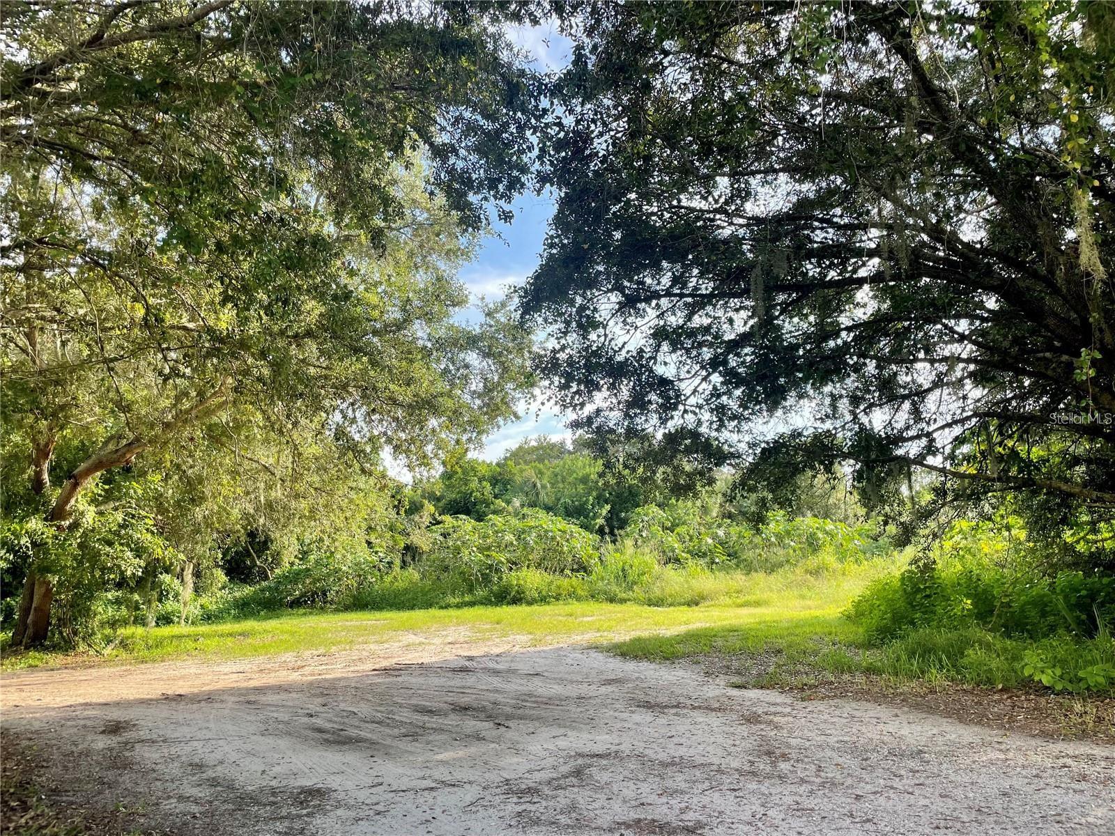 ALBEE FARM RD — photo 3