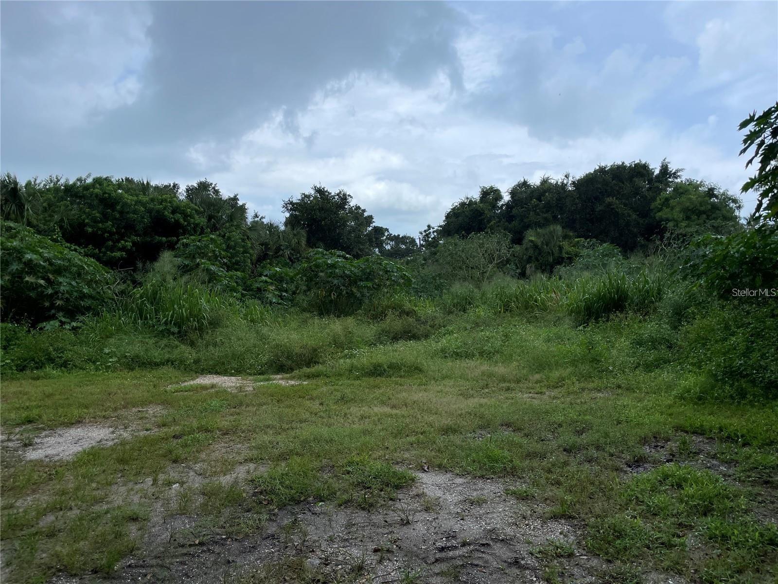 ALBEE FARM RD — photo 4